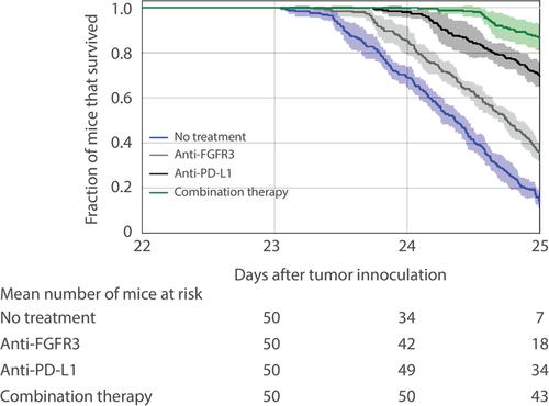 A validated mathematical model of FGFR3-mediated tumor growth reveals pathways to harness the benefits of combination targeted therapy and immunotherapy in bladder cancer