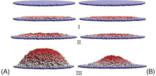 Biomechanical modelling of cancer: Agent-based force-based models of solid tumours within the context of the tumour microenvironment