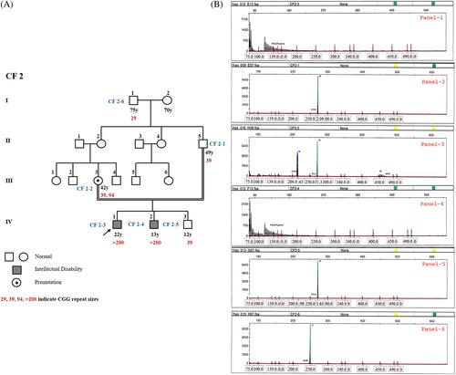 FMR1 gene CGG repeat distribution among the three individual cohorts with intellectual disability, autism, and primary ovarian insufficiency from Tamil Nadu, Southern India