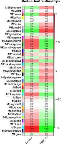 Long non-coding RNAs and their targets as potential biomarkers in breast cancer