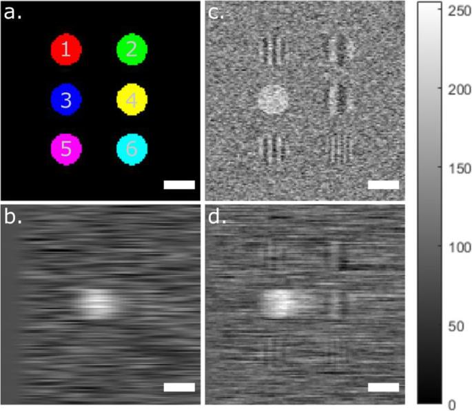 Stimulated Raman scattering simulation for imaging optimization