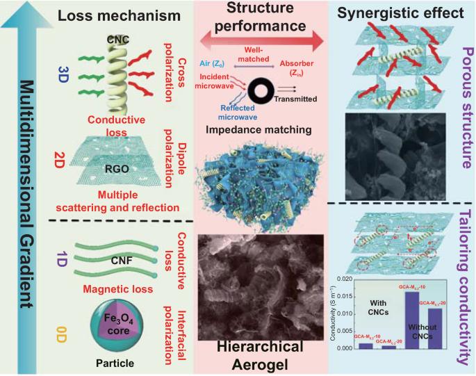 Structural Engineering of Hierarchical Aerogels Comprised of Multi-dimensional Gradient Carbon Nanoarchitectures for Highly Efficient Microwave Absorption