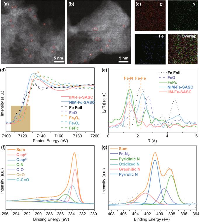 Iron-Imprinted Single-Atomic Site Catalyst-Based Nanoprobe for Detection of Hydrogen Peroxide in Living Cells