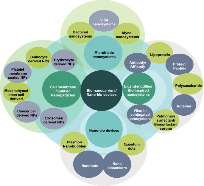 Bio-Nanocarriers for Lung Cancer Management: Befriending the Barriers