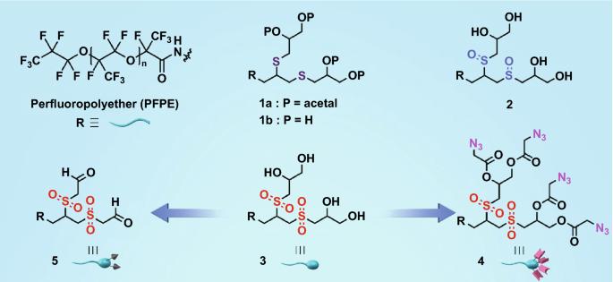 Functional Surfactants for Molecular Fishing, Capsule Creation, and Single-Cell Gene Expression