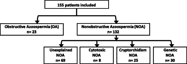 Contribution of serum anti-Müllerian hormone in the management of azoospermia and the prediction of testicular sperm retrieval outcomes: a study of 155 adult men.