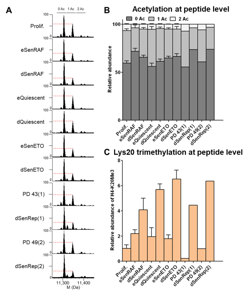 H2B Type 1-K Accumulates in Senescent Fibroblasts with Persistent DNA Damage along with Methylated and Phosphorylated Forms of HMGA1.