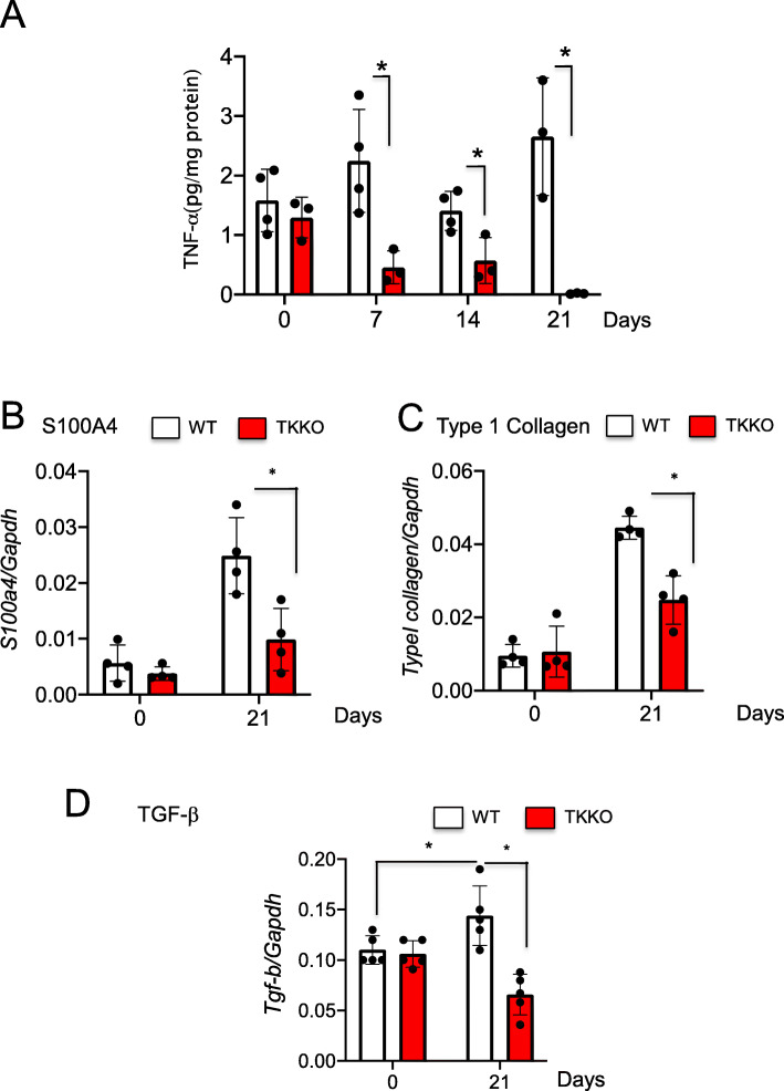 VEGFR1-tyrosine kinase signaling in pulmonary fibrosis.