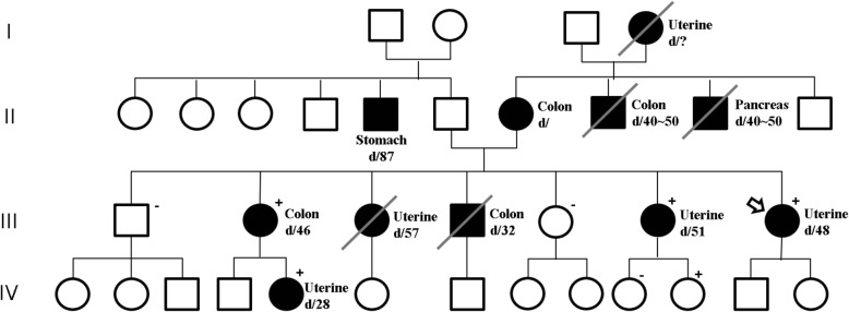 A novel germline mutation in hMLH1 in three Korean women with endometrial cancer in a family of Lynch syndrome: case report and literature review.