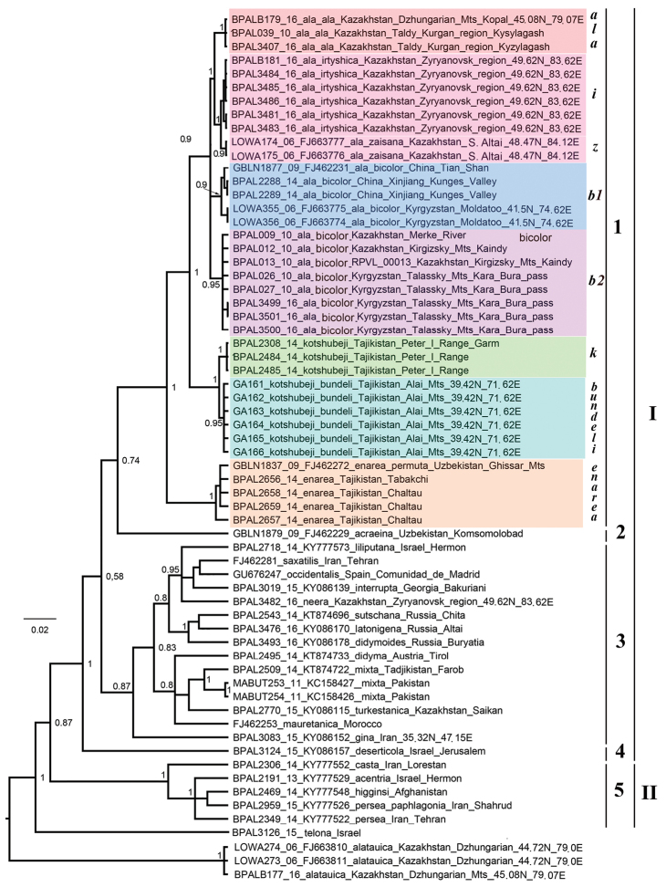 Chromosomal and DNA barcode analysis of the <i>Melitaea ala</i> Staudinger, 1881 species complex (Lepidoptera, Nymphalidae).