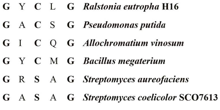 Polyhydroxyalkanoate accumulation in Streptomyces coelicolor affected by SCO7613 gene region.