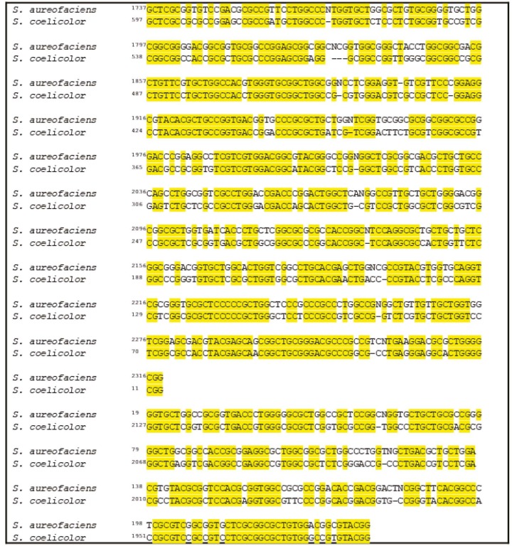 Polyhydroxyalkanoate accumulation in Streptomyces coelicolor affected by SCO7613 gene region.