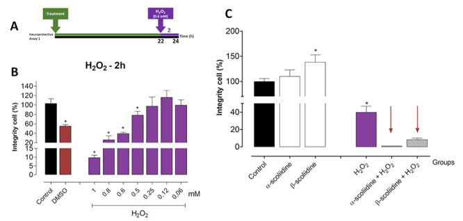 Novel neuroprotective peptides in the venom of the solitary scoliid wasp <i>Scolia decorata ventralis</i>.