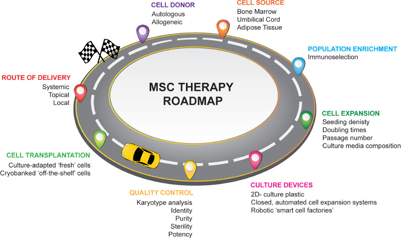 Current good manufacturing practice considerations for mesenchymal stromal cells as therapeutic agents