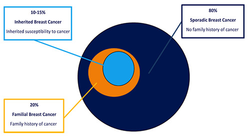 Expanding the search for germline pathogenic variants for breast cancer. How far should we go and how high should we jump? The missed opportunity!