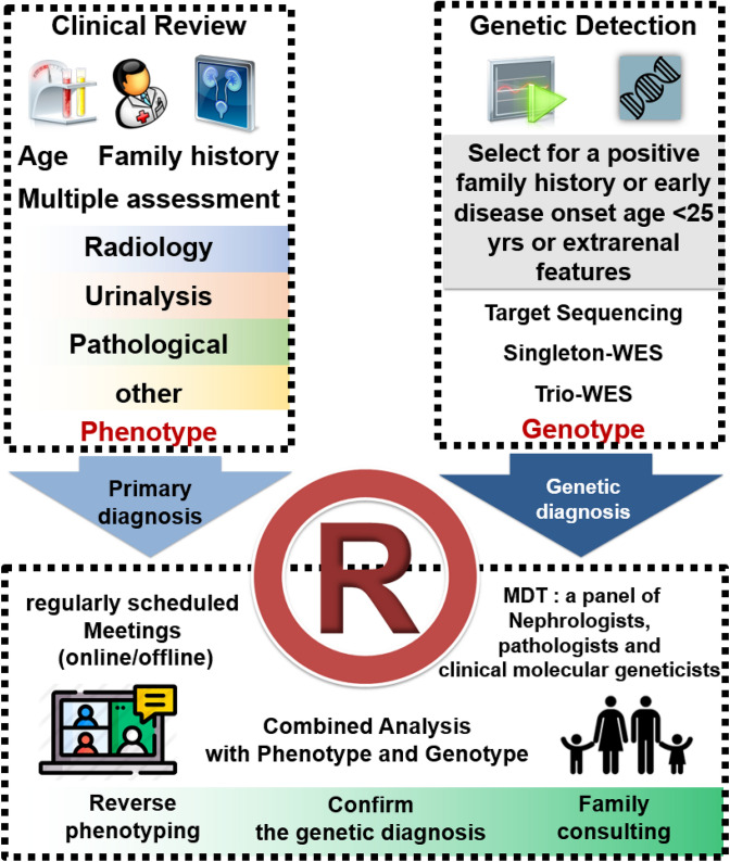 Genetic Architecture of Childhood Kidney and Urological Diseases in China.