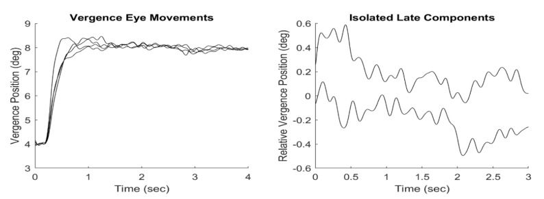 Vergence Fusion Sustaining Oscillations.