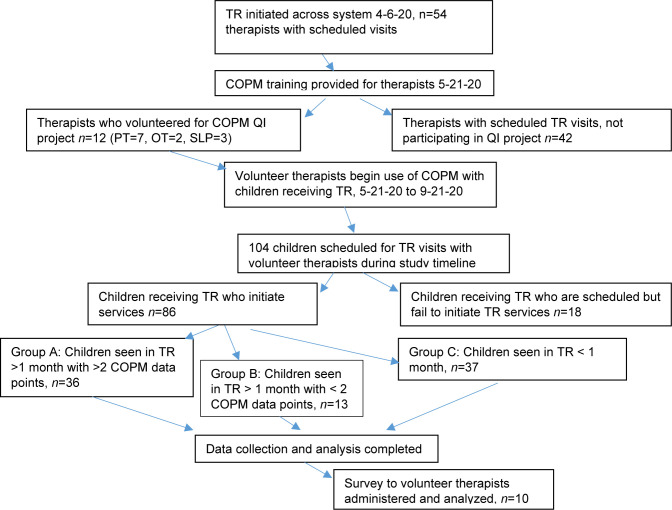 The Canadian Occupational Performance Measure: a Feasible Multidisciplinary Outcome Measure for Pediatric Telerehabilitation.