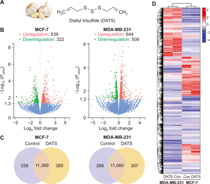 Mechanistic Targets of Diallyl Trisulfide in Human Breast Cancer Cells Identified by RNA-seq Analysis.