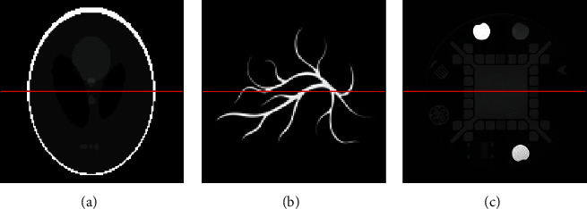 A Photoacoustic Imaging Algorithm Based on Regularized Smoothed L<sub>0</sub> Norm Minimization.