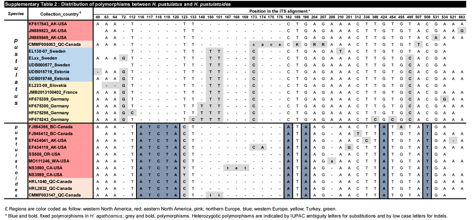 <i>Hygrophorus</i> sect. <i>Olivaceoumbrini</i>: new boundaries, extended biogeography and unexpected diversity unravelled by transatlantic studies.
