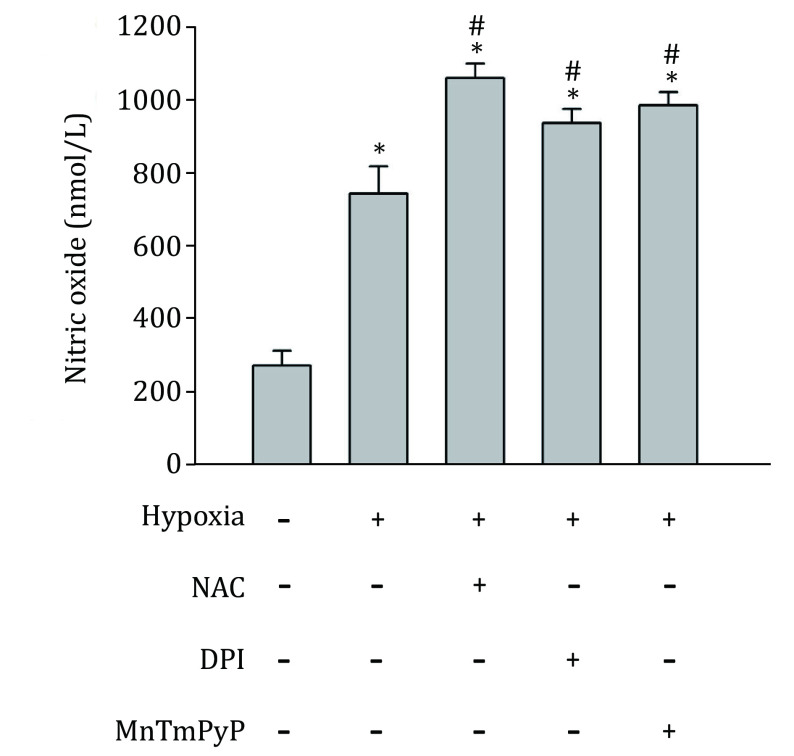 Endogenous reactive oxygen species and nitric oxide have opposite roles in regulating HIF-1alpha expression in hypoxic astrocytes.