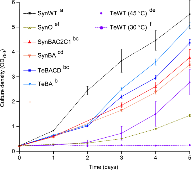 Production of thermostable phycocyanin in a mesophilic cyanobacterium