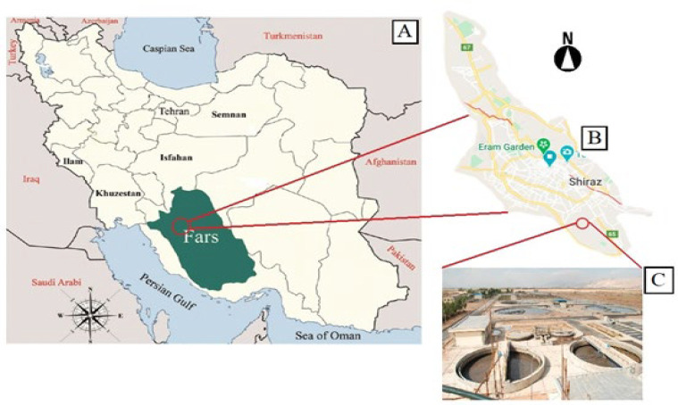 Abundance of antibiotic resistance genes in bacteria and bacteriophages isolated from wastewater in Shiraz.