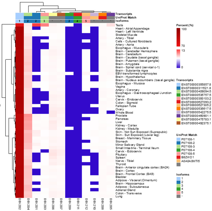 Elevated plasma levels of the appetite-stimulator ACBP/DBI in fasting and obese subjects.