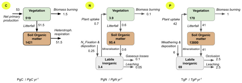 Modelling of land nutrient cycles: recent progress and future development.