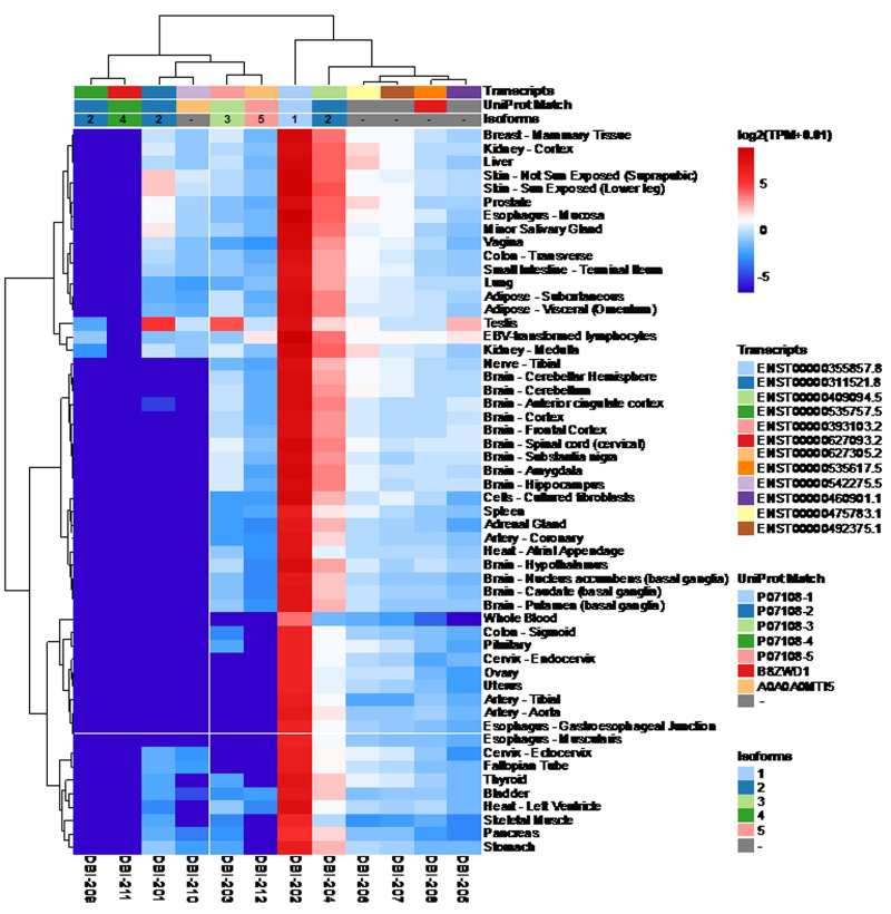 Elevated plasma levels of the appetite-stimulator ACBP/DBI in fasting and obese subjects.