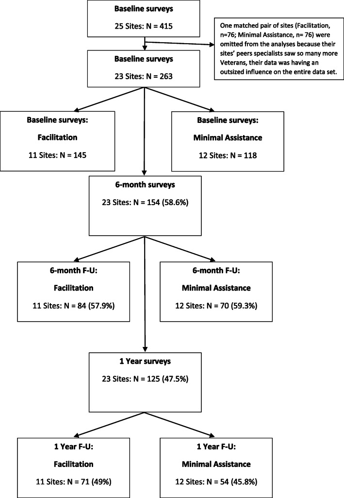Implementation of peer specialist services in VA primary care: a cluster randomized trial on the impact of external facilitation.