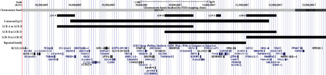 Total Anomalous Pulmonary Venous Connection in Mother and Son with a Central 22q11.2 Microdeletion.