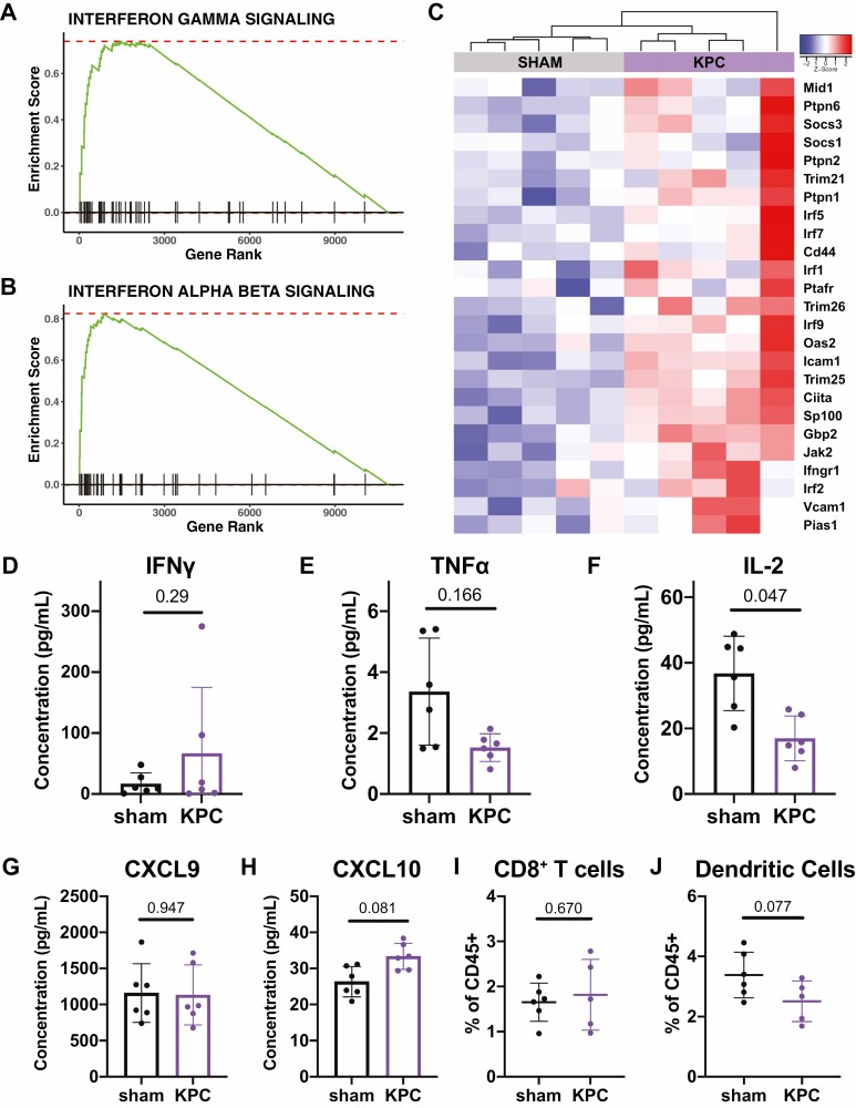 Type 2 immunity is maintained during cancer-associated adipose tissue wasting.