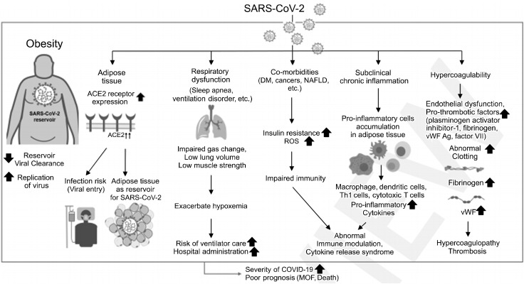 Obesity and Coronavirus Disease 2019.