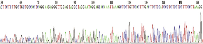 Experimental validation of a predicted microRNA within human <i>FVIII</i> gene.