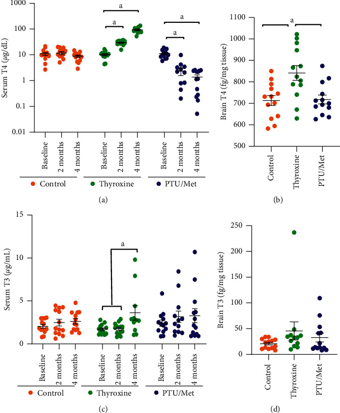 Modulating Thyroid Hormone Levels in Adult Mice: Impact on Behavior and Compensatory Brain Changes.