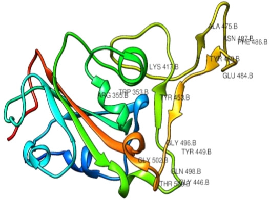 Blocking the interactions between human ACE2 and coronavirus spike glycoprotein by selected drugs: a computational perspective.