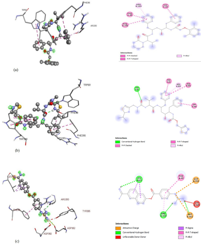 Blocking the interactions between human ACE2 and coronavirus spike glycoprotein by selected drugs: a computational perspective.