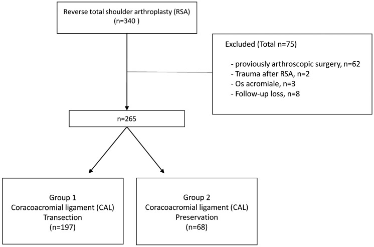 Does Preservation of Coracoacromial Ligament Reduce the Acromial Stress Pathology Following Reverse Total Shoulder Arthroplasty?