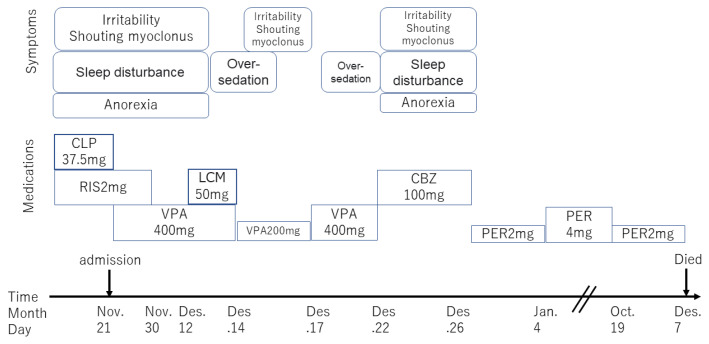 A Severe Dementia Case in End of Life Care with Psychiatric Symptoms Treated by Perampanel.