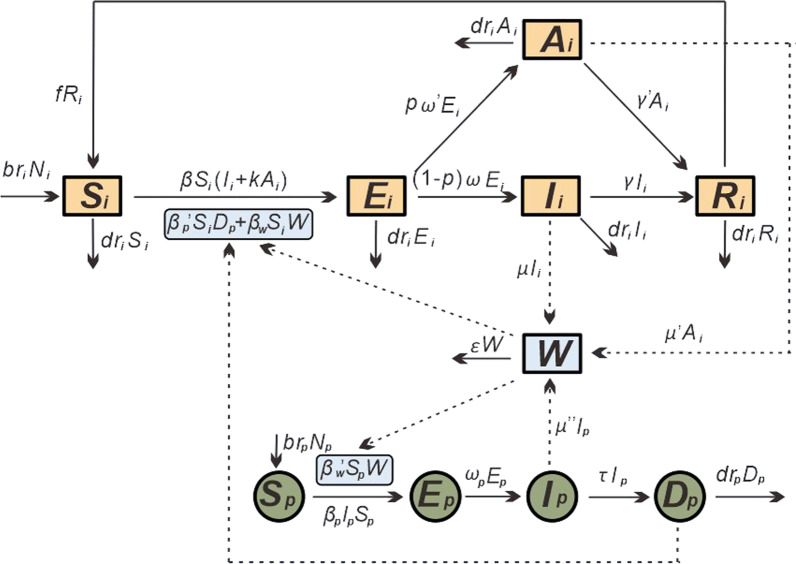 Feasibility of controlling hepatitis E in Jiangsu Province, China: a modelling study.