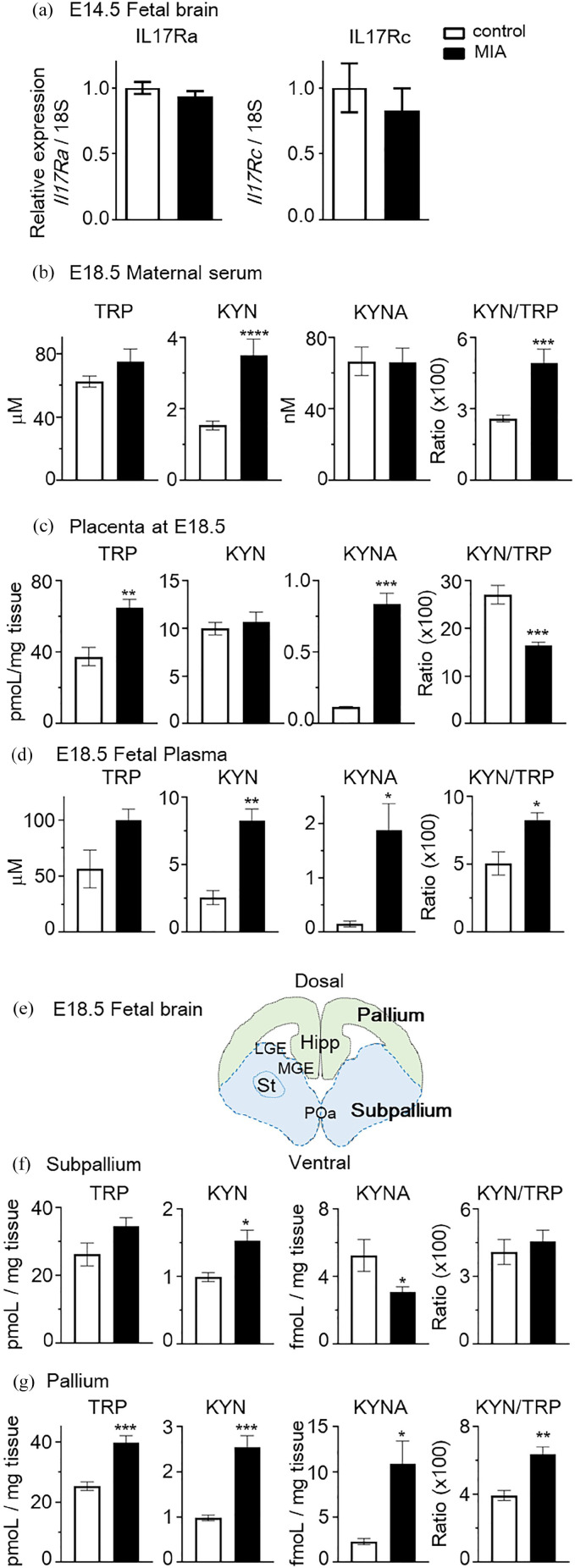 The Effects of Maternal Interleukin-17A on Social Behavior, Cognitive Function, and Depression-Like Behavior in Mice with Altered Kynurenine Metabolites.