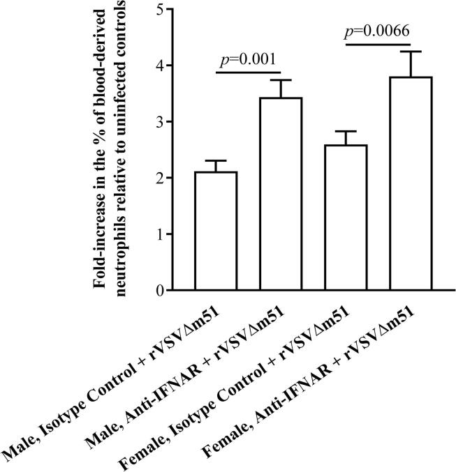 Disruption of type I interferon signaling causes sexually dimorphic dysregulation of anti-viral cytokines