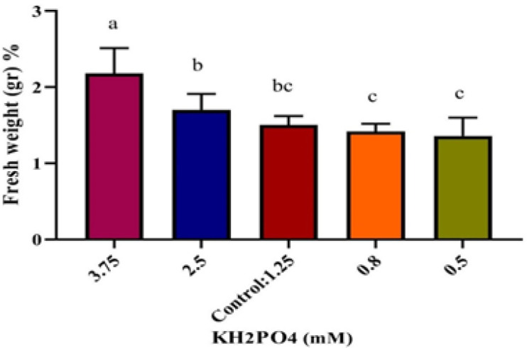 Enhanced inulin production by hairy root cultures of <i>Cichorium intybus</i> in response to Pi and Fe starvation.