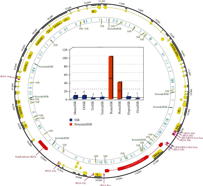 A Comparative Analyses of the Complete Mitochondrial Genomes of Fungal Endosymbionts in <i>Sogatella furcifera</i>, White-Backed Planthoppers.