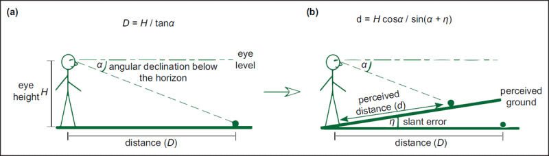 Egocentric Distance Perception Disorder in Amblyopia.