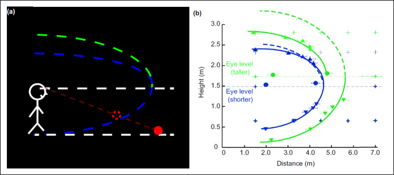 Egocentric Distance Perception Disorder in Amblyopia.