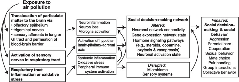 Effects of air pollution exposure on social behavior: a synthesis and call for research.