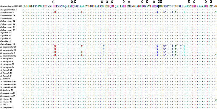 First Description of Various Bacteria Resistant to Heavy Metals and Antibiotics Isolated from Polluted Sites in Tunisia.